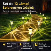 Set de 12 lumini led solare pentru gradina