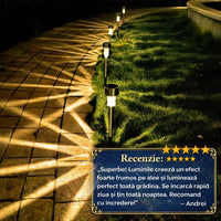 Set de 12 lumini led solare pentru gradina